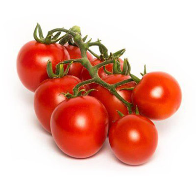 piantine pomodori Pachino