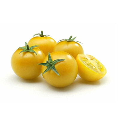 piantine pomodori Ciliagino Giallo