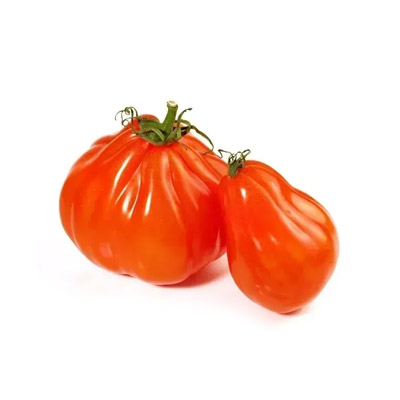 piantine pomodori cuore di bue