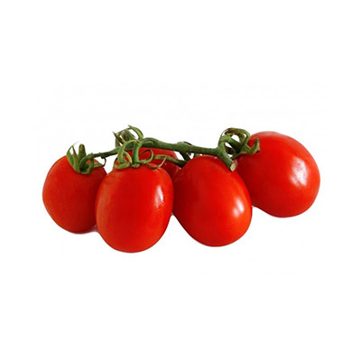 piantine pomodori Piccadilly