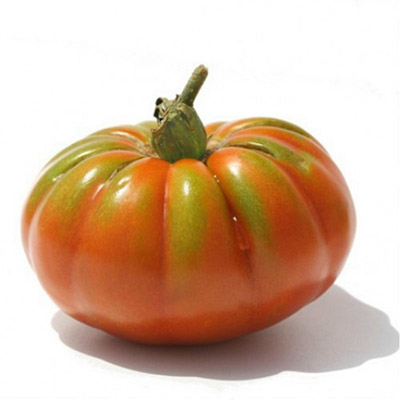piantine pomodori Pantano