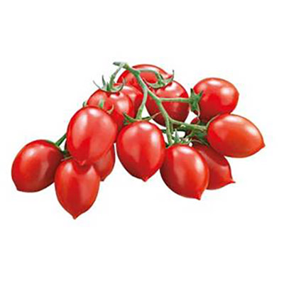 piantine pomodori Principe Borghese