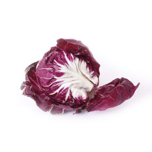 piantare radicchio