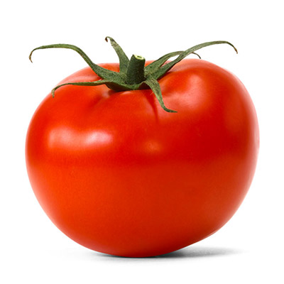piantine pomodori Tondo