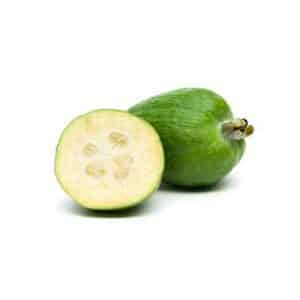 Feijoa